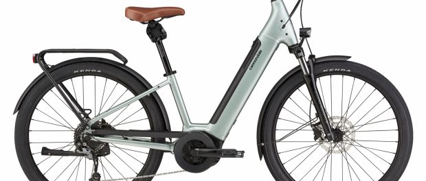 cannondale Neo