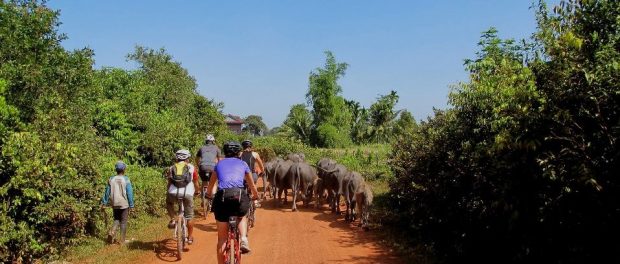Cambodia Cycling 8