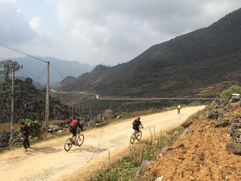 mountain bike holidays