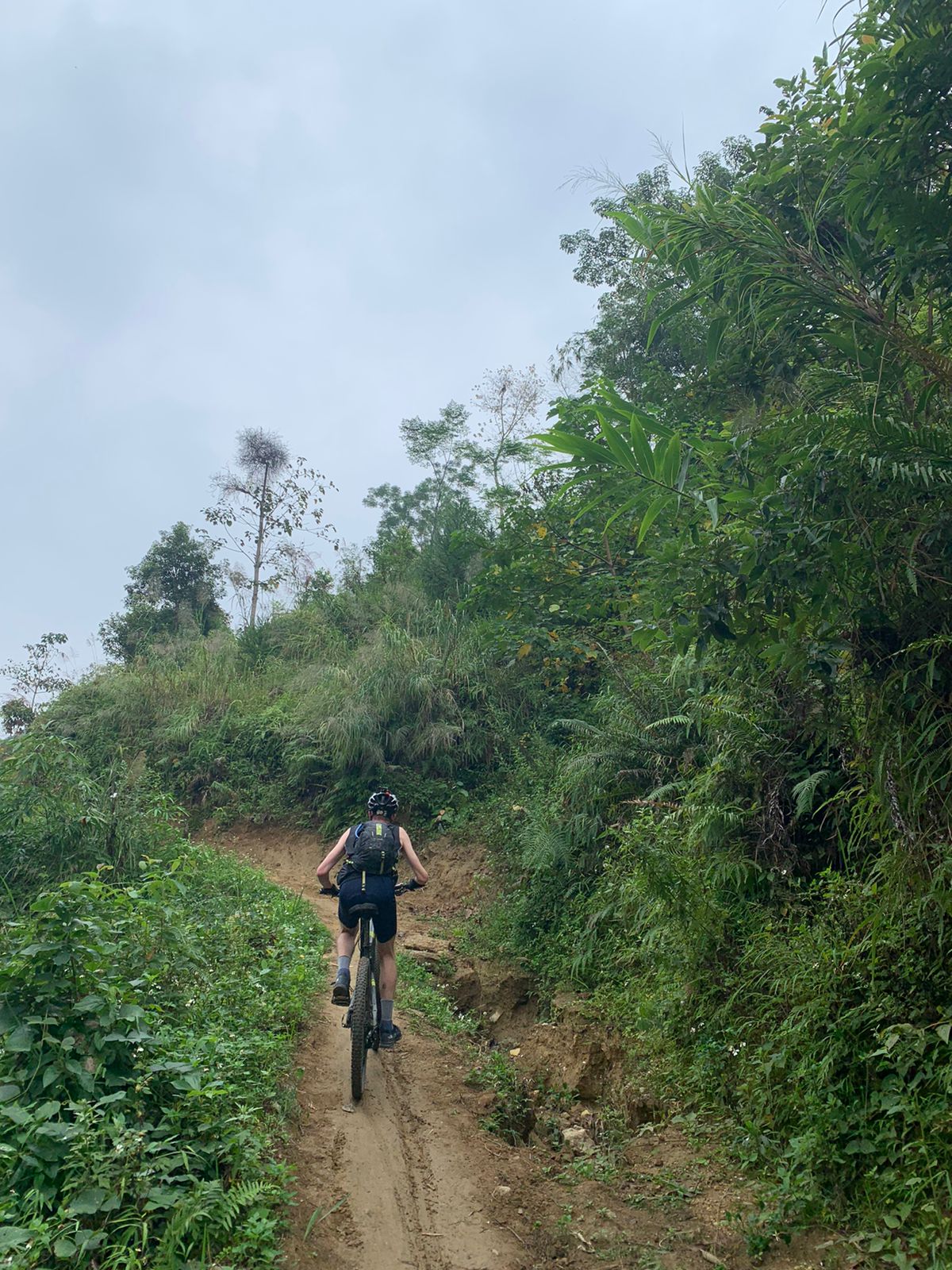 dirt trails mountain bike